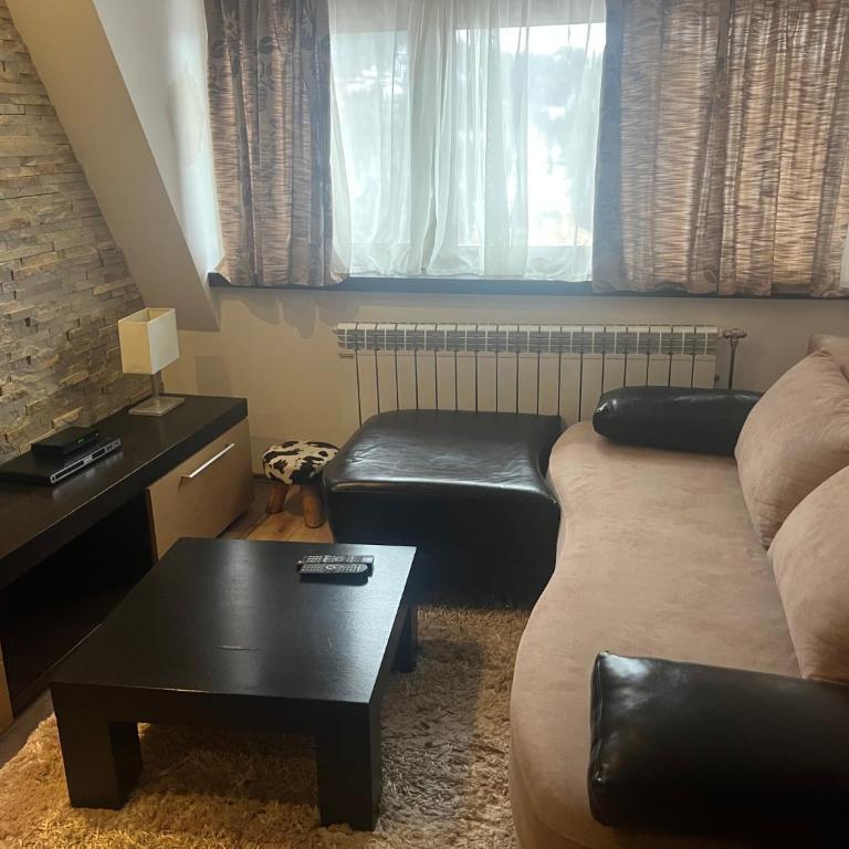 Harry apartments - Apart & spa Zoned Kopaonik, Special offer for Genius status, in addition, we offer special benefits for children up to 17 years old!!! - One-Bedroom Apartment - 6