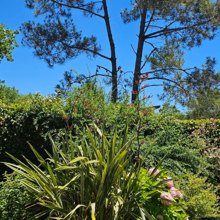 Sol, Velero y Viento Apart - Apartamento con vistas al jardín - 27