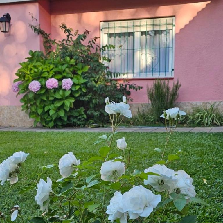 Sol, Velero y Viento Apart - Apartamento con vistas al jardín - 1