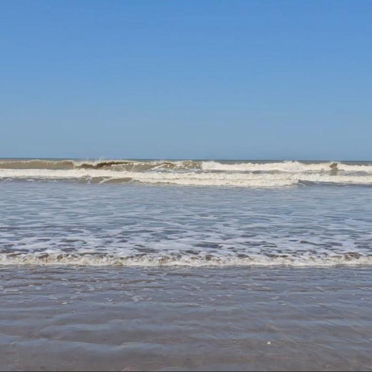 Sol, Velero y Viento Apart - Apartamento con vistas al jardín - 34