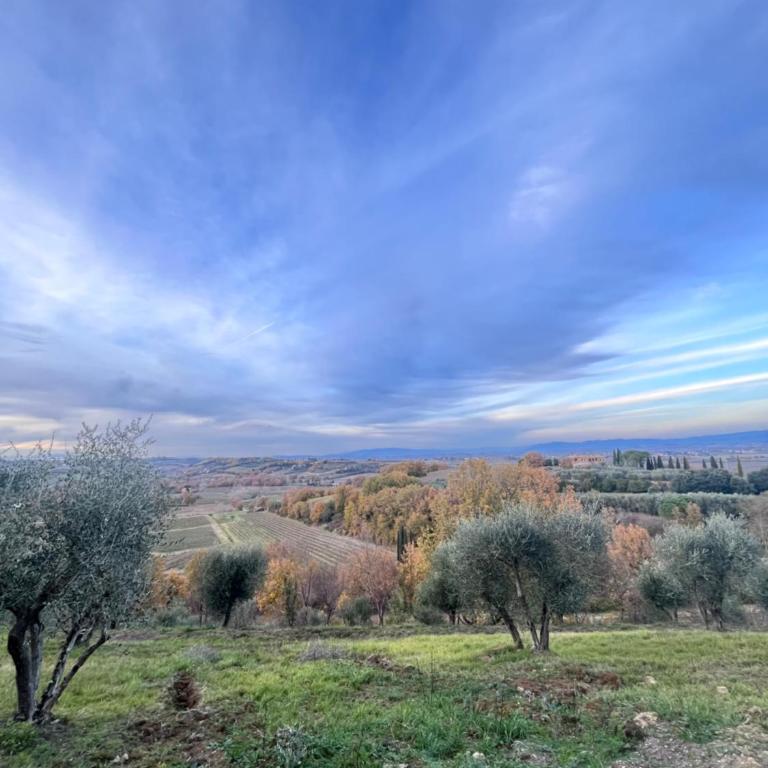 LA COLLINA DEI SAPORI Montepulciano - Appartamento Deluxe con 1 Camera da Letto - 13