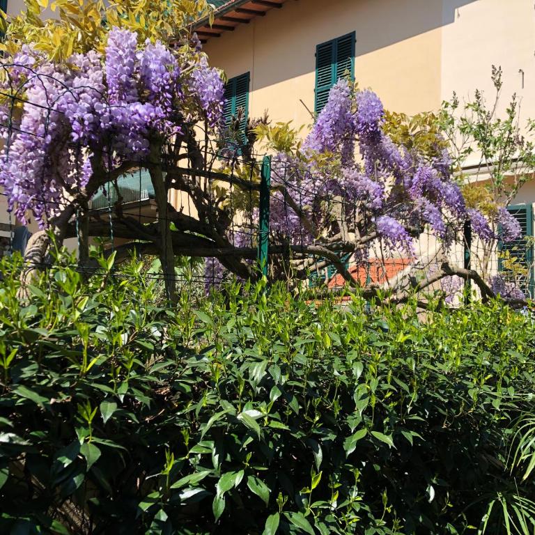 Gelsomino - Double Room with Private Bathroom - 14