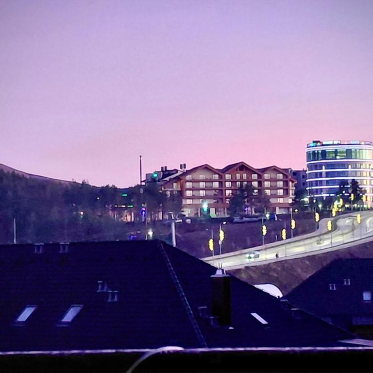 Pejzaz Zlatibora 2 - One-Bedroom Apartment - 15