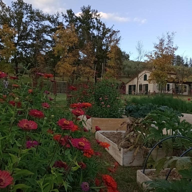 Podere la Campagnola - Vacation Home - 28