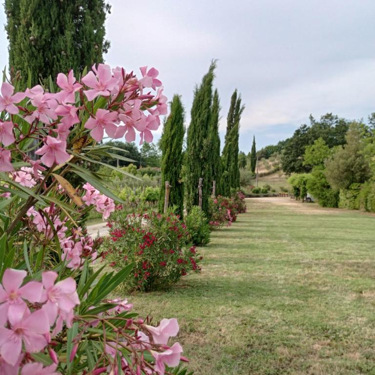 Podere la Campagnola - Vacation Home - 13