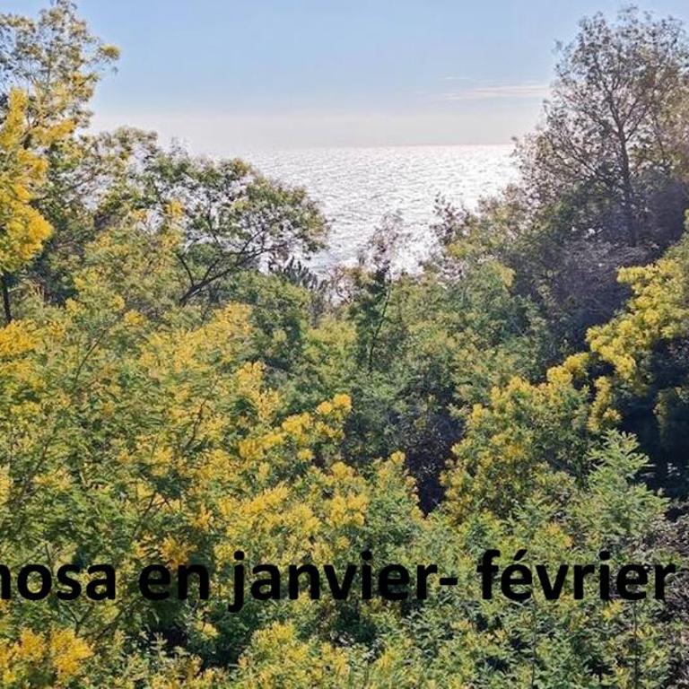 Fleur de Sel 55m2, terrasse, jardin, pieds dans l'eau, 4 pers - Apartment mit 2 Schlafzimmern - 57