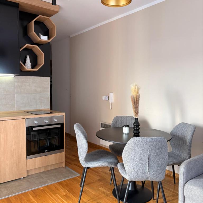 Black Diamond Zlatibor - One-Bedroom Apartment - 3