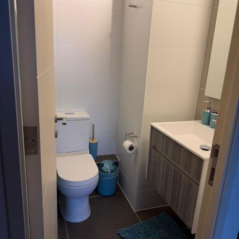 Costa de Montemar piso 2 - Two-Bedroom Apartment - 4