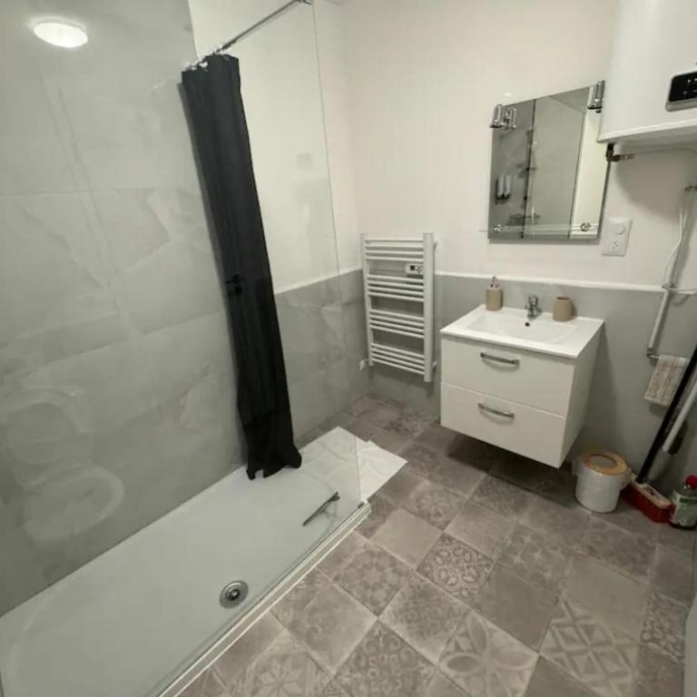 "les roses" Centre ville, stationnement gratuit et proche tram - Studio Apartment - 7