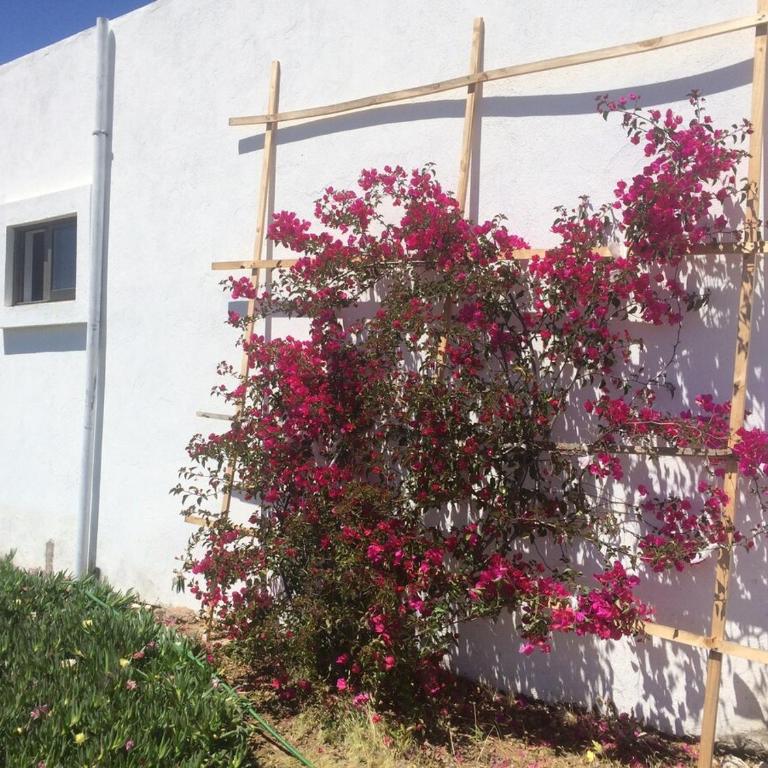 Casa estilo Mediterráneo, 140 metros cuadrados - Two-Bedroom House - 36