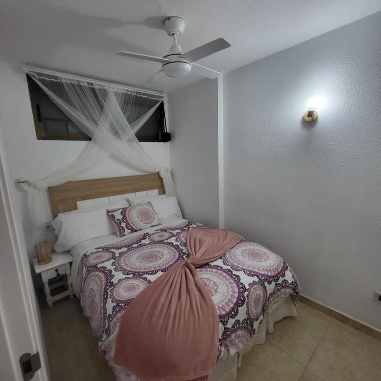 Piscis apartament - Apartamento de 1 dormitorio - 11