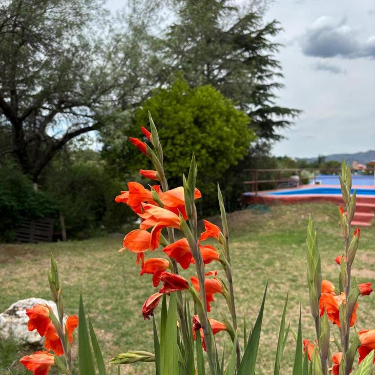 Casa Numerosa Vista al lago con Pileta Villa Carlos Paz - Casa de 4 dormitorios - 11