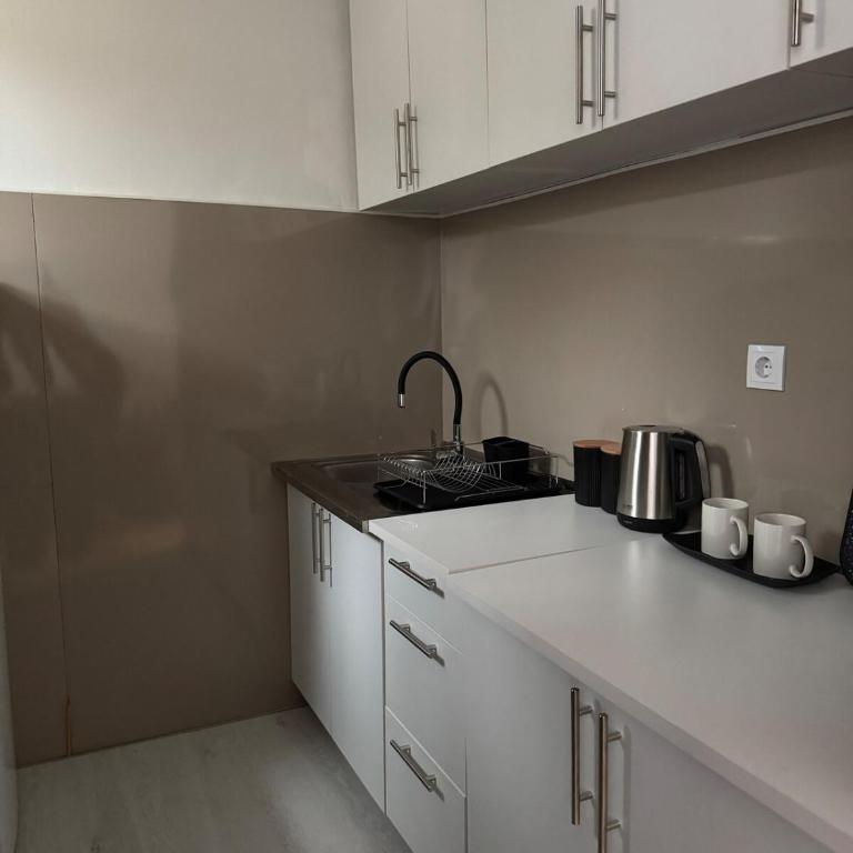 Stylish Renovated Apartment - Sarajevo City Center - Two-Bedroom Apartment - 8