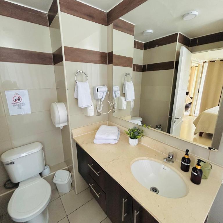 Apartamentos Providencia Suites - One-Bedroom Apartment with Terrace - 6
