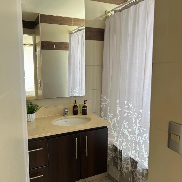 Apartamentos Providencia Suites - One-Bedroom Apartment with Terrace - 8
