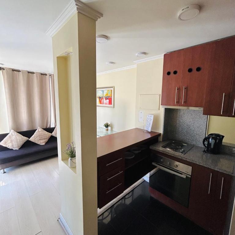 Apartamentos Providencia Suites - One-Bedroom Apartment with Terrace - 9