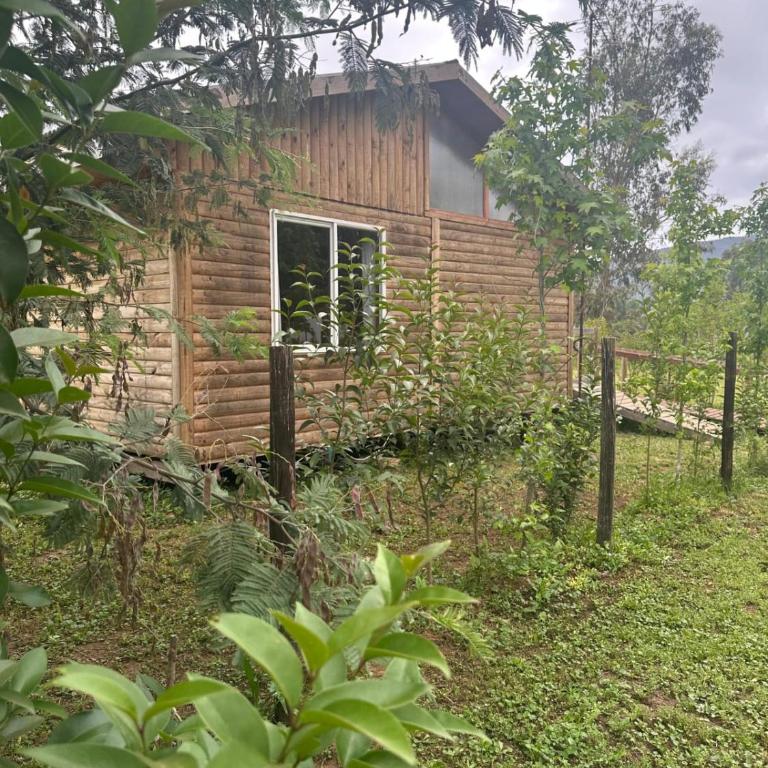 Cabañas el rincón de Colbún - Two-Bedroom House - 18