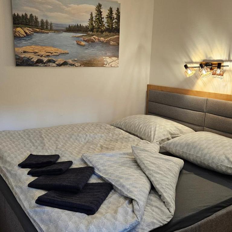 Appartement Franzls Altenmarkt im Pongau - Appartement 1 Chambre - 4