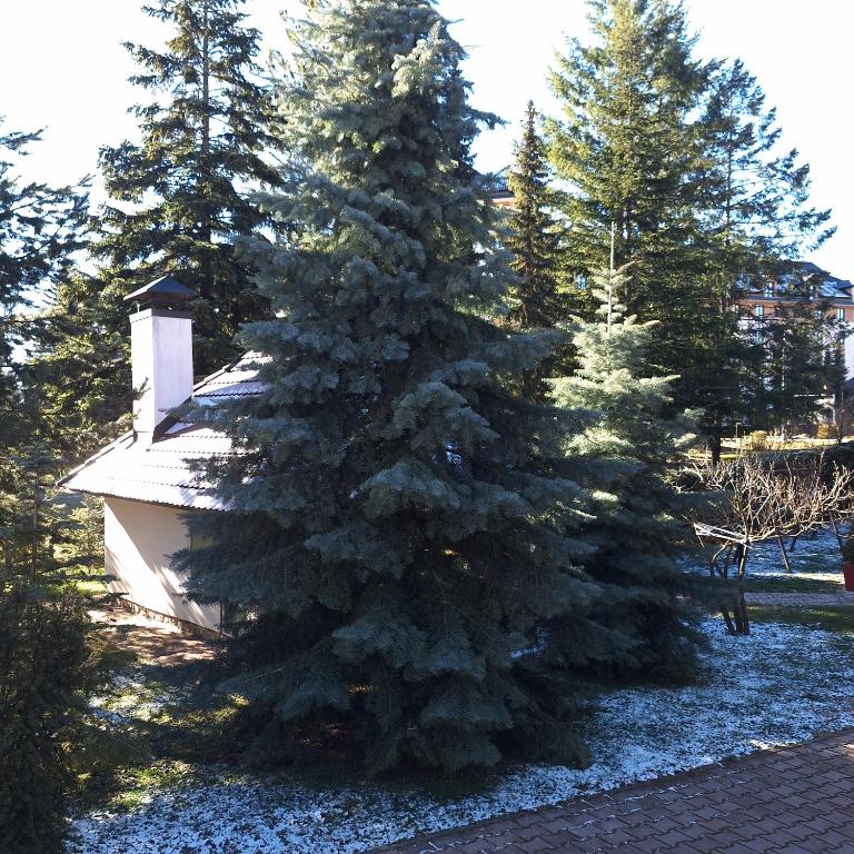 Konak 23-Spa - Apartment - Ground Floor - 54