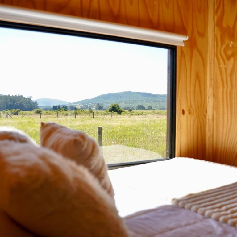Timohouse - One-Bedroom House - 3