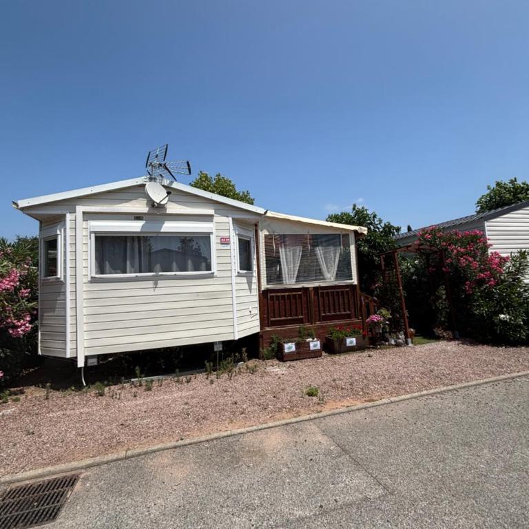 Mobile home Myosotis camping siblu - Mobile Home - 25