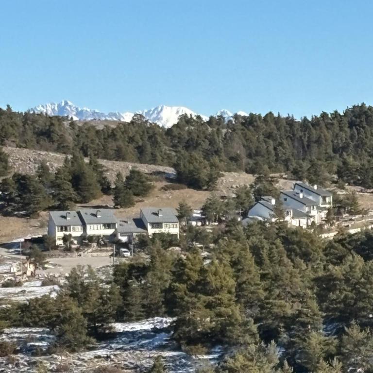 Parenthèse des cimes - Nature & Évasion - Studio - Vue sur Montagne - 7