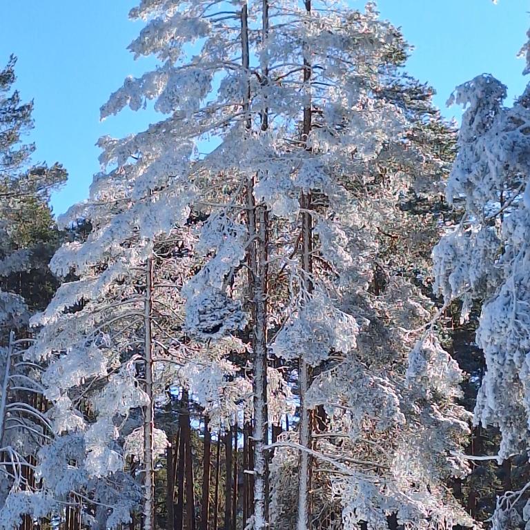 Konak 23-Spa - Apartment - Ground Floor - 51