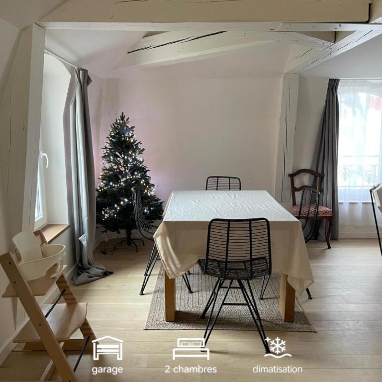 Les baleines - hypercentre 2 chambres avec garage et clim - air conditioning - Appartement 2 Chambres - 1