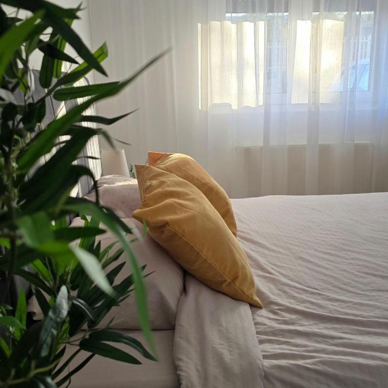 Studio Tamy - Apartman sa 1 Spavaćom Sobom - 8