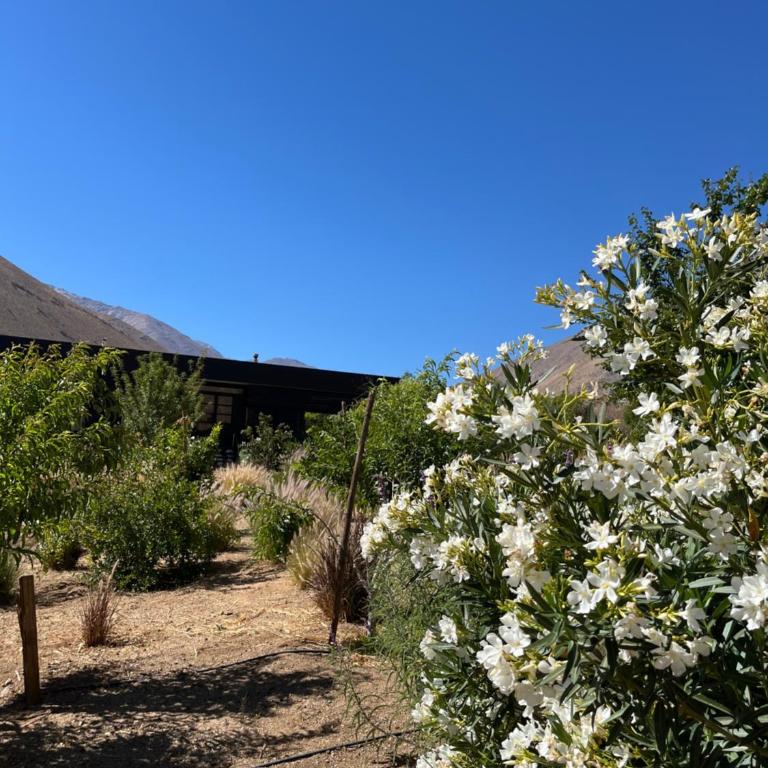 Cajanegra - Three-Bedroom Vacation Home - 24