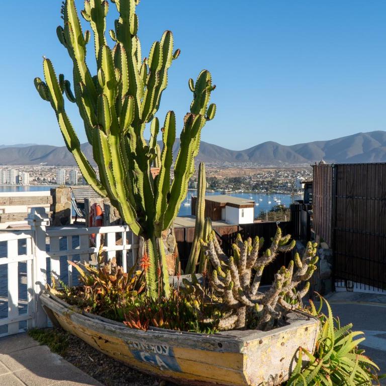 Cabañas El Mirador de La Herradura - Two-Bedroom Apartment - 37