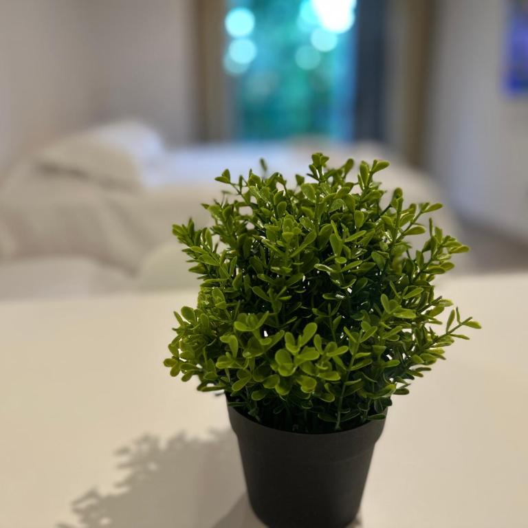 Studio 44 Escobar - Apartamento de 1 dormitorio - 7