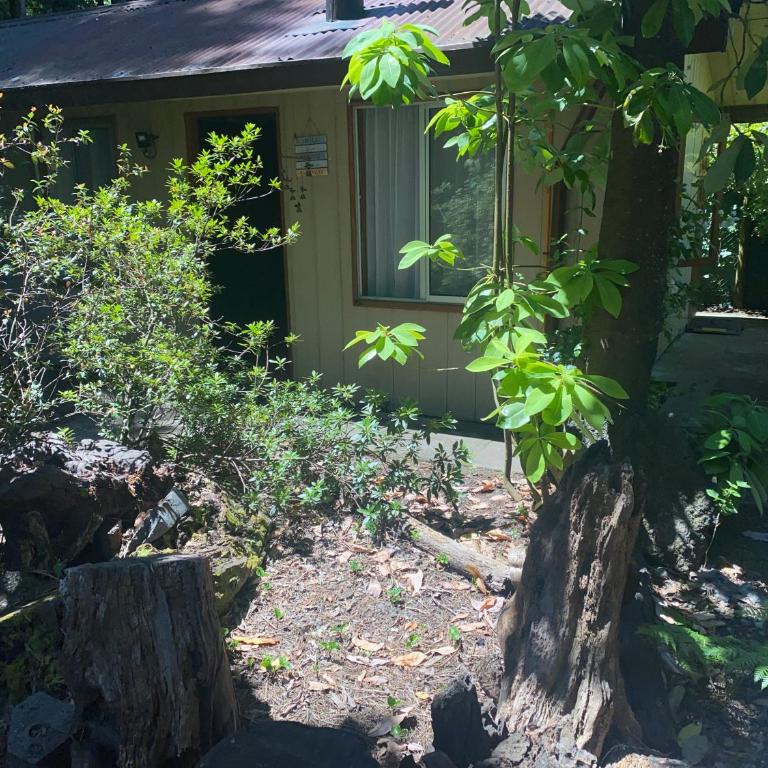 cabañas walls 1 - Casa de 2 dormitorios - 8