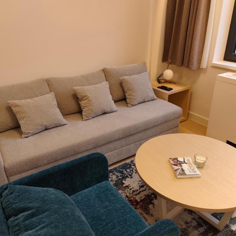 Zepterme Promenade Spa Apartment - Apartman sa 1 Spavaćom Sobom - 8