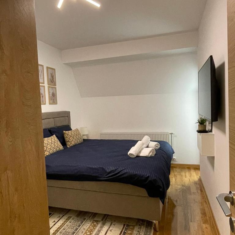 Apartman Lavina Divčibare - One-Bedroom Apartment - 2