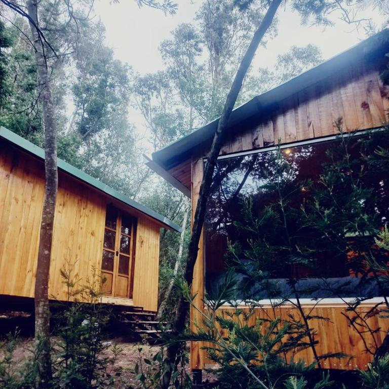 Bosque Venado de Oro - One-Bedroom Chalet - 1