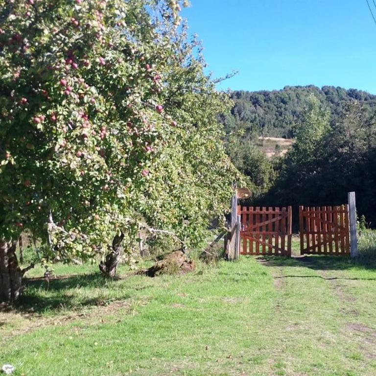 Comoda casa con salida al mar - Three-Bedroom Home - 25