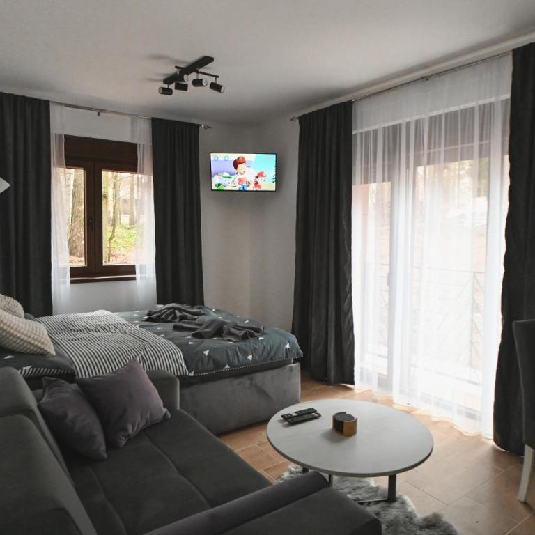 Apartman Gorska Vila - Divcibare - King Studio with Sofa Bed - 6