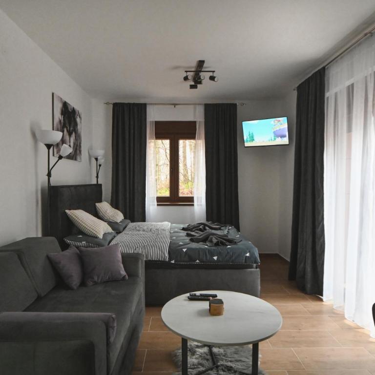 Apartman Gorska Vila - Divcibare - King Studio with Sofa Bed - 13