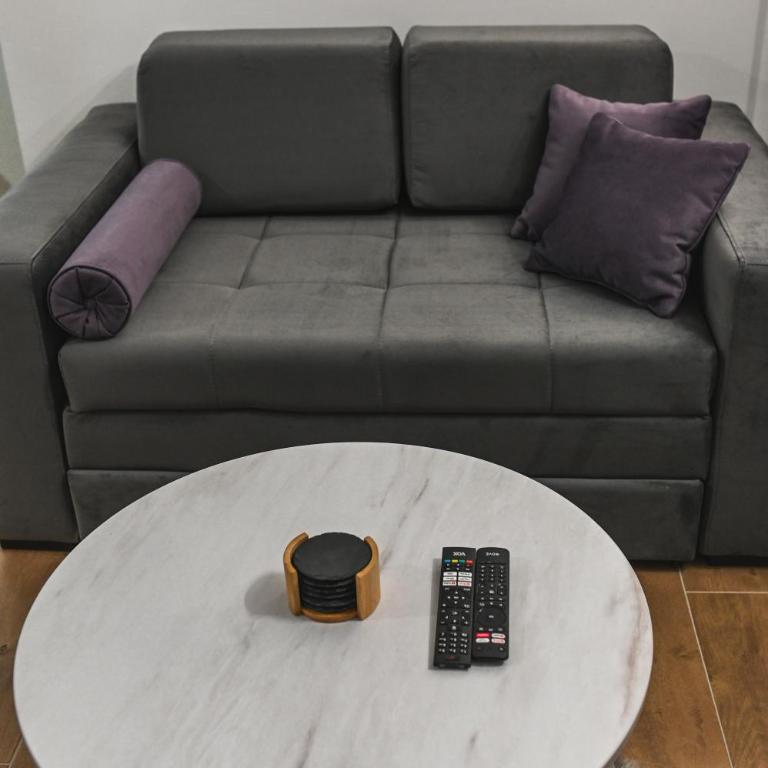 Apartman Gorska Vila - Divcibare - King Studio with Sofa Bed - 18