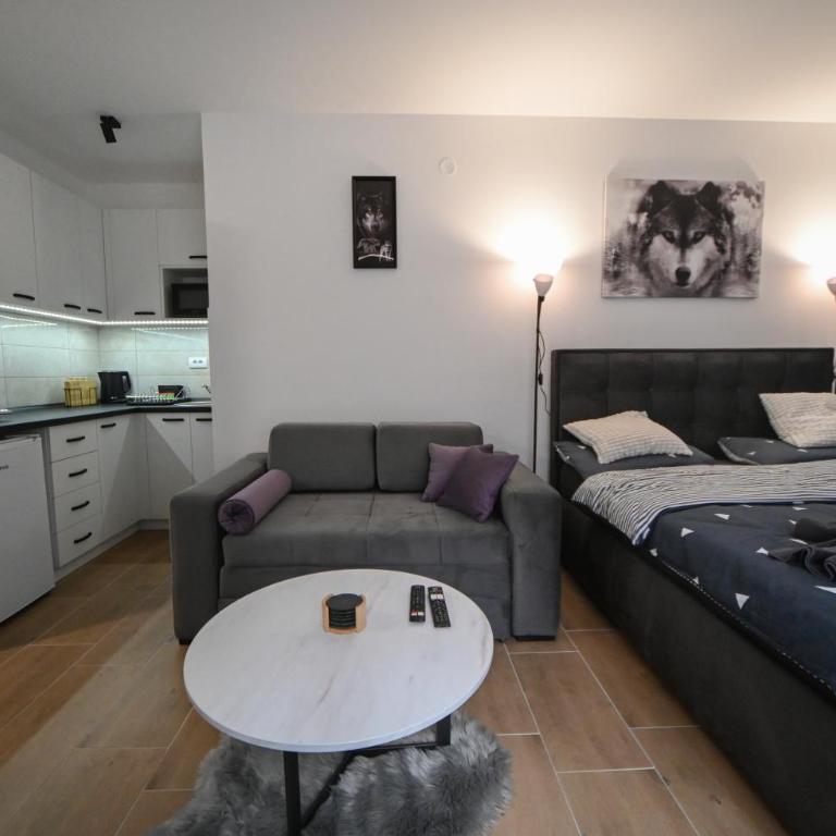Apartman Gorska Vila - Divcibare - King Studio with Sofa Bed - 21