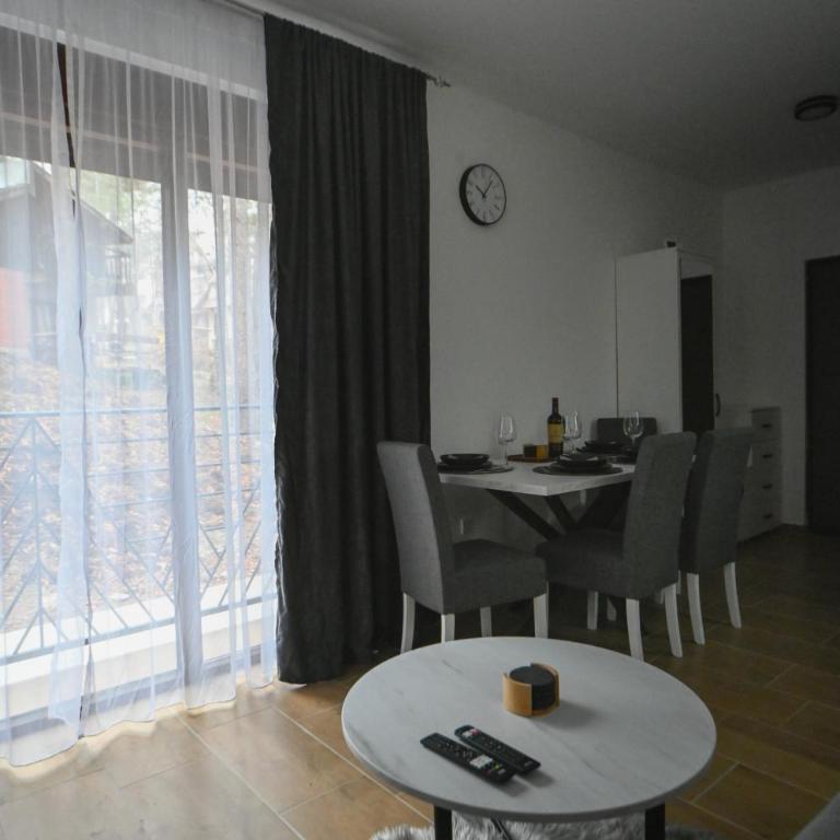 Apartman Gorska Vila - Divcibare - King Studio with Sofa Bed - 22