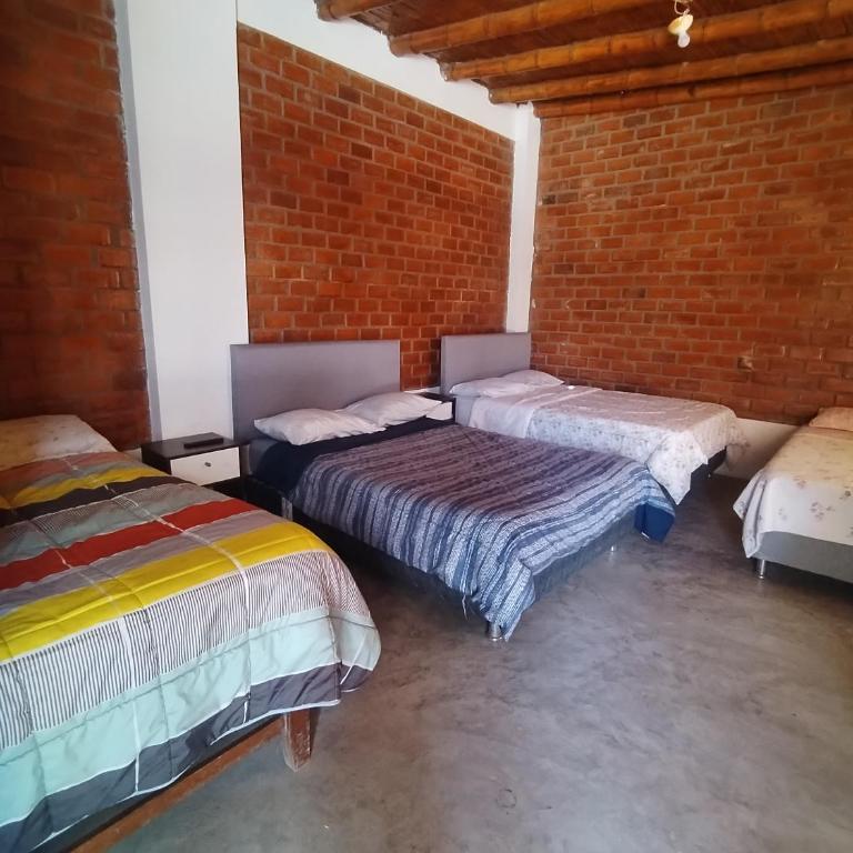 Finca Lucía Kemper - Three-Bedroom House - 10
