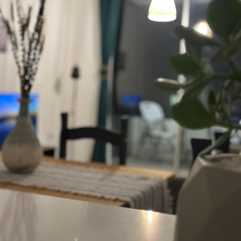 Altos de Piriápolis - Apartamento de 1 dormitorio - 11
