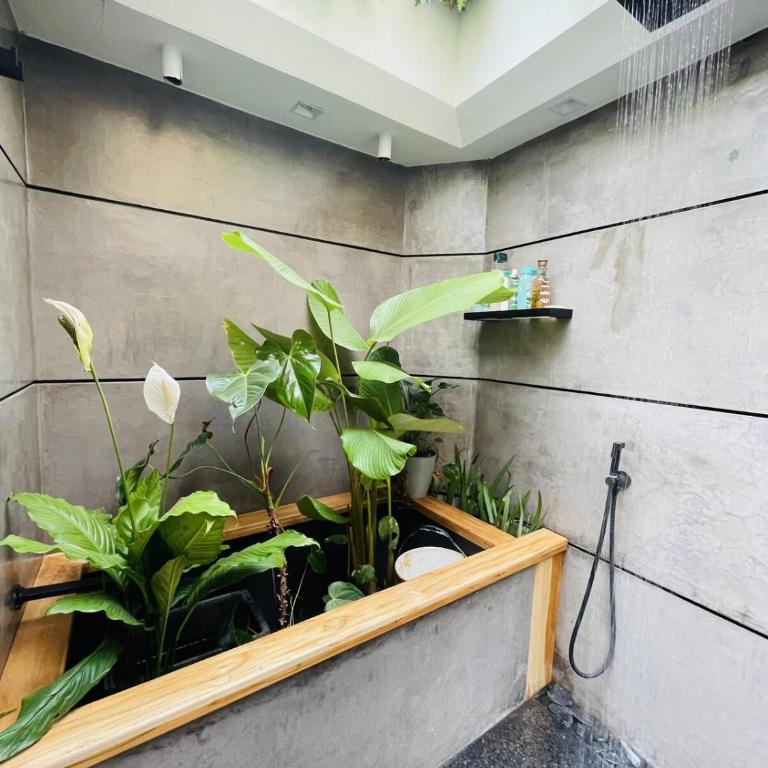 Green Interior - Apartamento de 1 dormitorio - 46