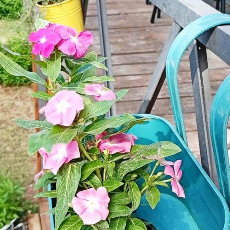 Flor de canela 4 - Apartamento de 1 dormitorio - 19