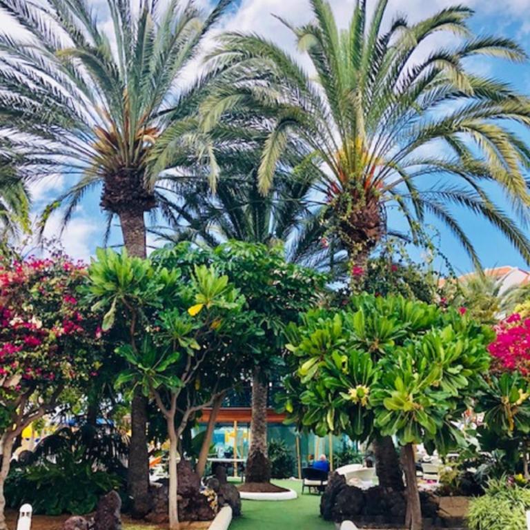 Golden Mille by Deihu Experiences - Apartamento Superior de 1 dormitorio con balcón - 25
