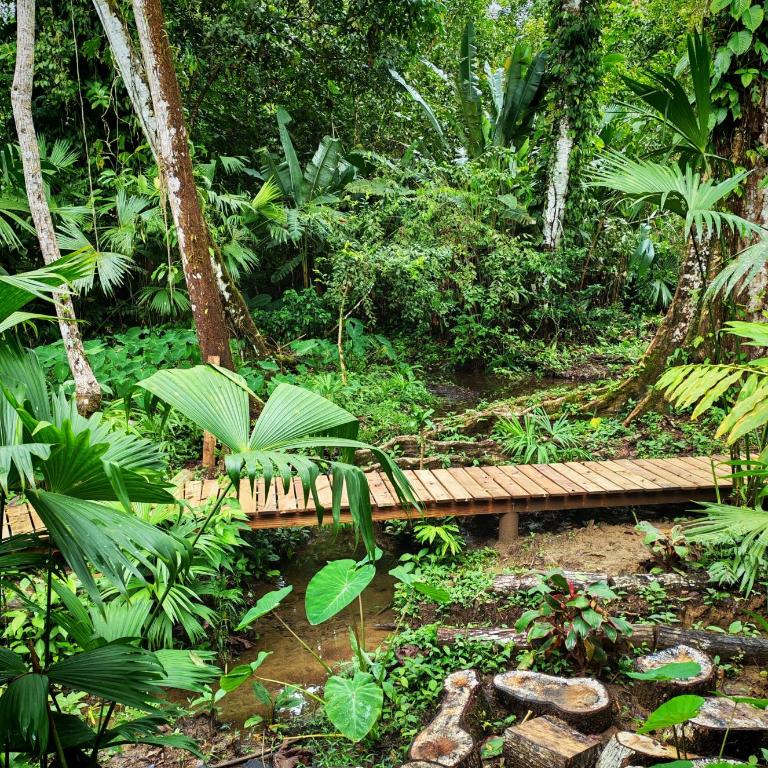 Madre Selva Eco Lodge - Habitación Familiar con vistas al jardín - 13