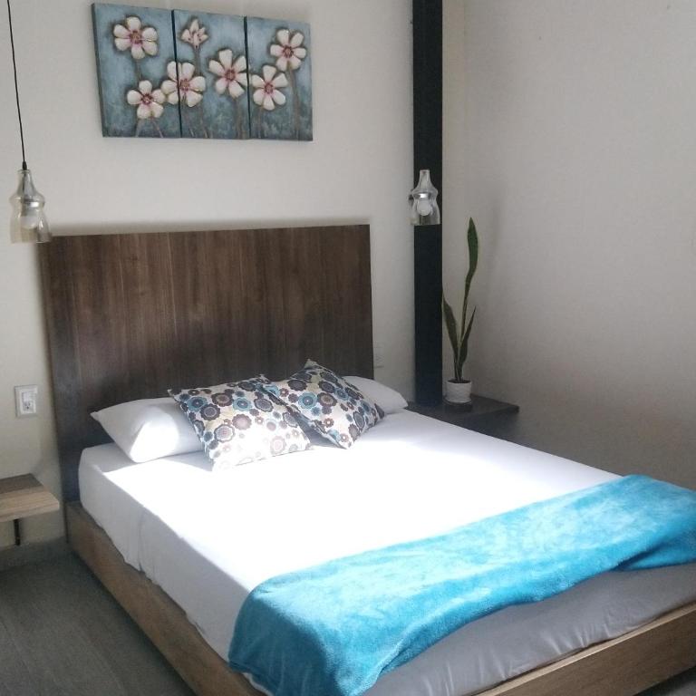 3 Apartaestudios bellisimos - Apartamento de 1 dormitorio - 6