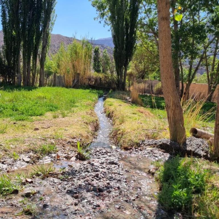 Refugio de Olivia - Two-Bedroom House - 4